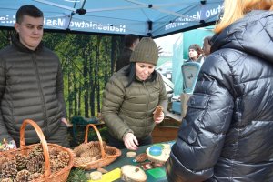 Mieszkańcy Ełku poznawali pracę leśników i tajniki sadzenia drzew
