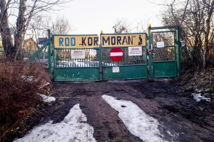 Czy olsztyńscy działkowcy stracą swoje ogródki? Słuchaj Śliskiej Sprawy