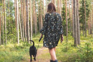 Rekreacja i ochrona przyrody. W regionie powstaną lasy społeczne