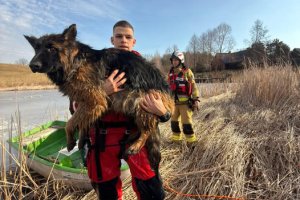 Pies wpadł pod lód na zamarzniętym stawie koło Mikołajek