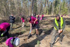 Nowy las rośnie pod Olsztynem. Rodzinne sadzenie lasu przyciągnęło tłumy