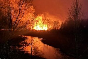 Pożar na Mazurach. Spłonęło kilka hektarów trzcinowiska