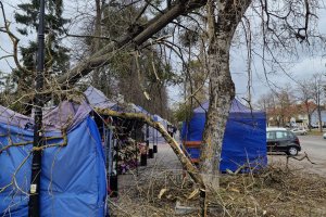 Skutki wichury w regionie: awarie prądu, powalone drzewa i uszkodzone dachy