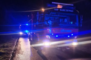 Samochód uderzył w drzewo i spłonął. Nie żyje kierowca.