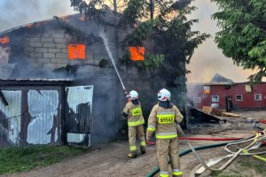 Pożar chlewni w powiecie ostródzkim. 14 zastępów straży pożarnej w akcji