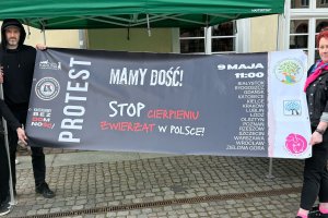 Stop cierpieniu zwierząt. Obrońcy praw czworonogów protestowali w Olsztynie