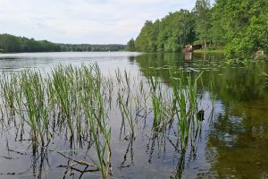 Jezioro Dadaj bohaterem audycji Odkryj Warmię i Mazury
