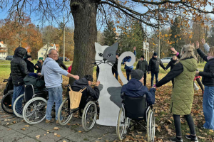 Ostatnie godziny na oddanie głosu! Dwa dęby z Warmii i Mazur walczą o tytuł Drzewa Roku
