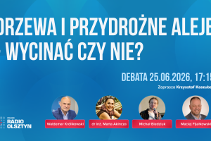 Wycinka drzew w regionie. Bezpieczeństwo czy niszczenie krajobrazu? Słuchaj debaty