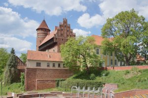 Wytną drzewa, żeby pokazać olsztyński zamek? Ekolodzy biją na alarm