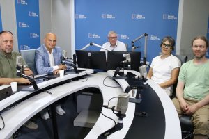 Wycinka drzew w regionie. Bezpieczeństwo czy niszczenie krajobrazu? Słuchaj debaty