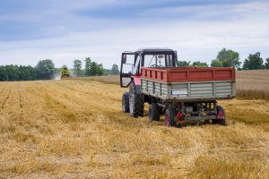 ARiMR czeka na wnioski. Młodzi rolnicy mogą otrzymać wysokie wsparcie