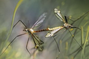 Bliższe Spotkania - 20.08.2025