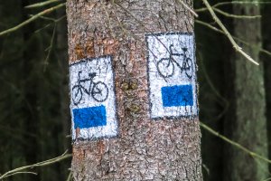 Śmierć rowerzysty nad jeziorem Długim w Olsztynie. Policja ustala tożsamość mężczyzny