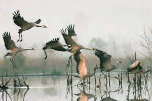 Bliższe Spotkania - 01.03.2021