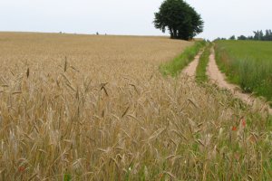 Północ, północny-wschód - część 2