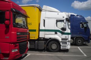  Optymalizacja podatkowa w lokalnym wydaniu