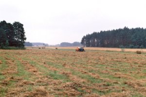 Olsztyn wśród liderów sprzedaży ziemi rolnej