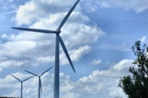 Wilkasy nie chcą turbin wiatrowych