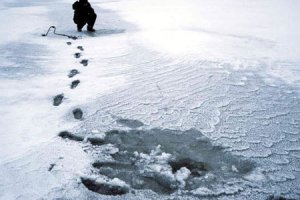 Rozpoczyna się połów stynki