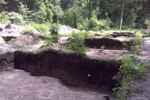 Czy wczesnośredniowieczna osada w olsztyńskim Lesie Miejskim doczeka się rekonstrukcji?