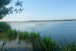 Ponad 400 kg przetworów domowych wrzucono do jeziora Druzno