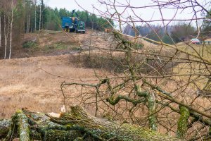 Kilkanaście hektarów lasu pod Olsztynem zostanie wyciętych. Taką decyzję podjął sąd
