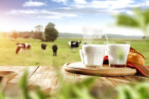 Wojciech Hołownia: Nasze mleczarstwo przygotowuje się na ekspansję