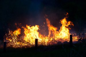 Płoną trawy na Warmii i Mazurach. Minionej doby strażacy wyjechali do 38 pożarów