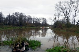 Nadal obowiązuje zagrożenie powodziowe na Żuławach Elbląskich