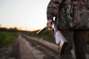 Łoś zastrzelony podczas polowania. Polski Związek Łowiecki i prokuratura szukają sprawcy