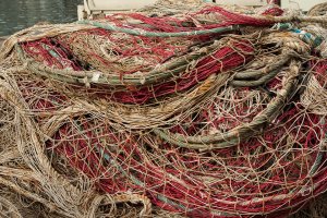 Z mazurskich jezior znikają sieci rybackie