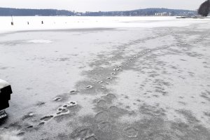 Ratownicy ostrzegają: Nie wchodźcie na kruchy lód