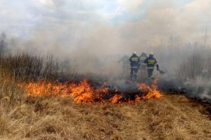 Pomagali w ratowaniu Biebrzańskiego Parku Narodowego. Strażacy i leśnicy: bez samolotów nie udałoby się opanować pożaru