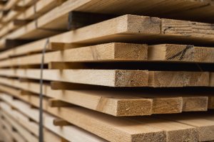 Czy do regionu trafia drewno z Rosji i Białorusi? Trwają kontrole