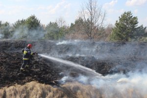 Coraz więcej przypadków wypalania traw na Warmii i Mazurach