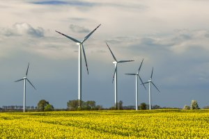 Polacy oceniają: energia odnawialna szansą na niższe rachunki