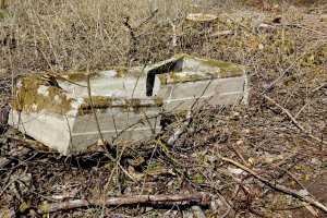 Nielegalna wycinka drzew i zniszczony cmentarz. Historia spod Mikołajek w Śliskiej Sprawie