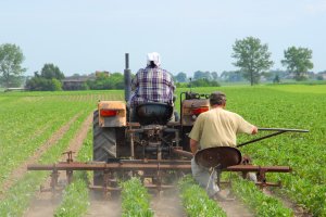 Mniej wniosków o dopłaty bezpośrednie. „Rolnicy muszą zapoznać się z nowościami”