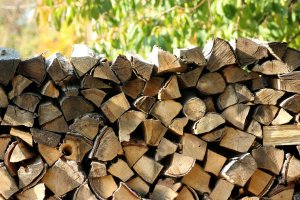 Wzrosło zainteresowanie kupnem drewna od leśników