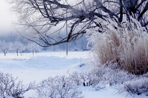 W środę początek astronomicznej zimy i najkrótszy dzień roku