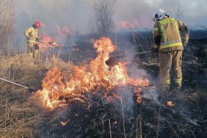Strażacy apelują, by nie wypalać traw. W regionie było już ponad 50 takich pożarów