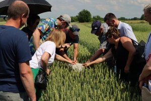 Jak zmienia się polskie rolnictwo? Urząd Statystyczny przepytał rolników