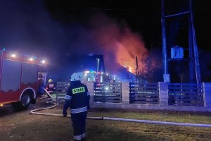 Nocny pożar strawił tartak pod Olsztynkiem