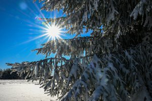 Lód i śnieg zagrażają spacerowiczom w lasach