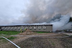 Pożar dwóch kurników koło Olsztyna. Są utrudnienia w ruchu