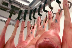 Wypadek w zakładzie mięsnym koło Ostródy. Maszyna do obróbki mięsa włączyła się, gdy w środku był człowiek