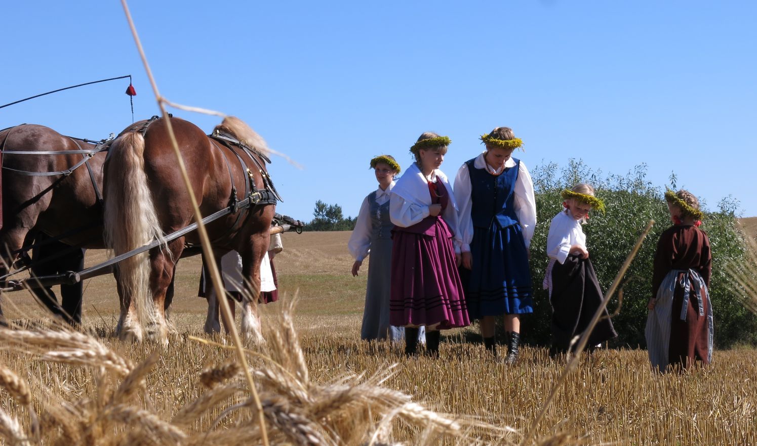 Plon – czyli dożynki na Mazurach
