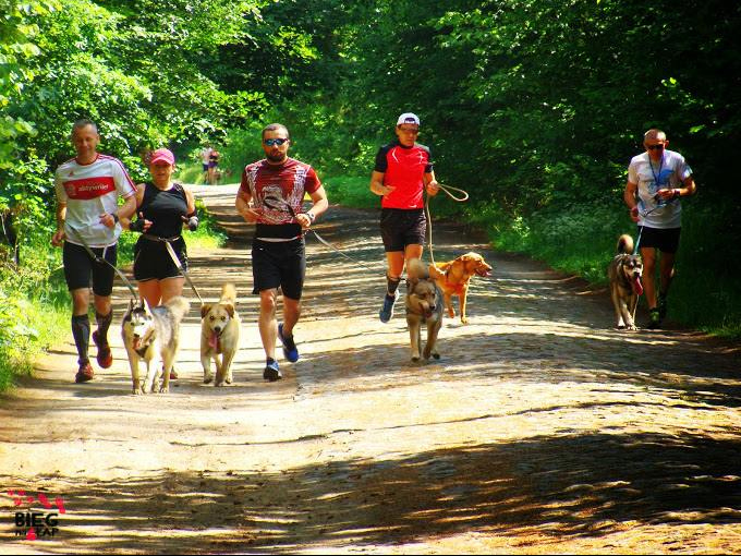 Rusza drugi sezon elbląskiego ”Biegu na sześć łap”