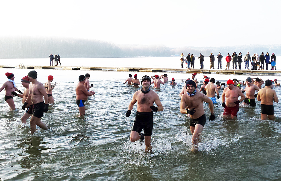 Morsy szykują się do kąpieli fot. Krzysztof Kaszubski